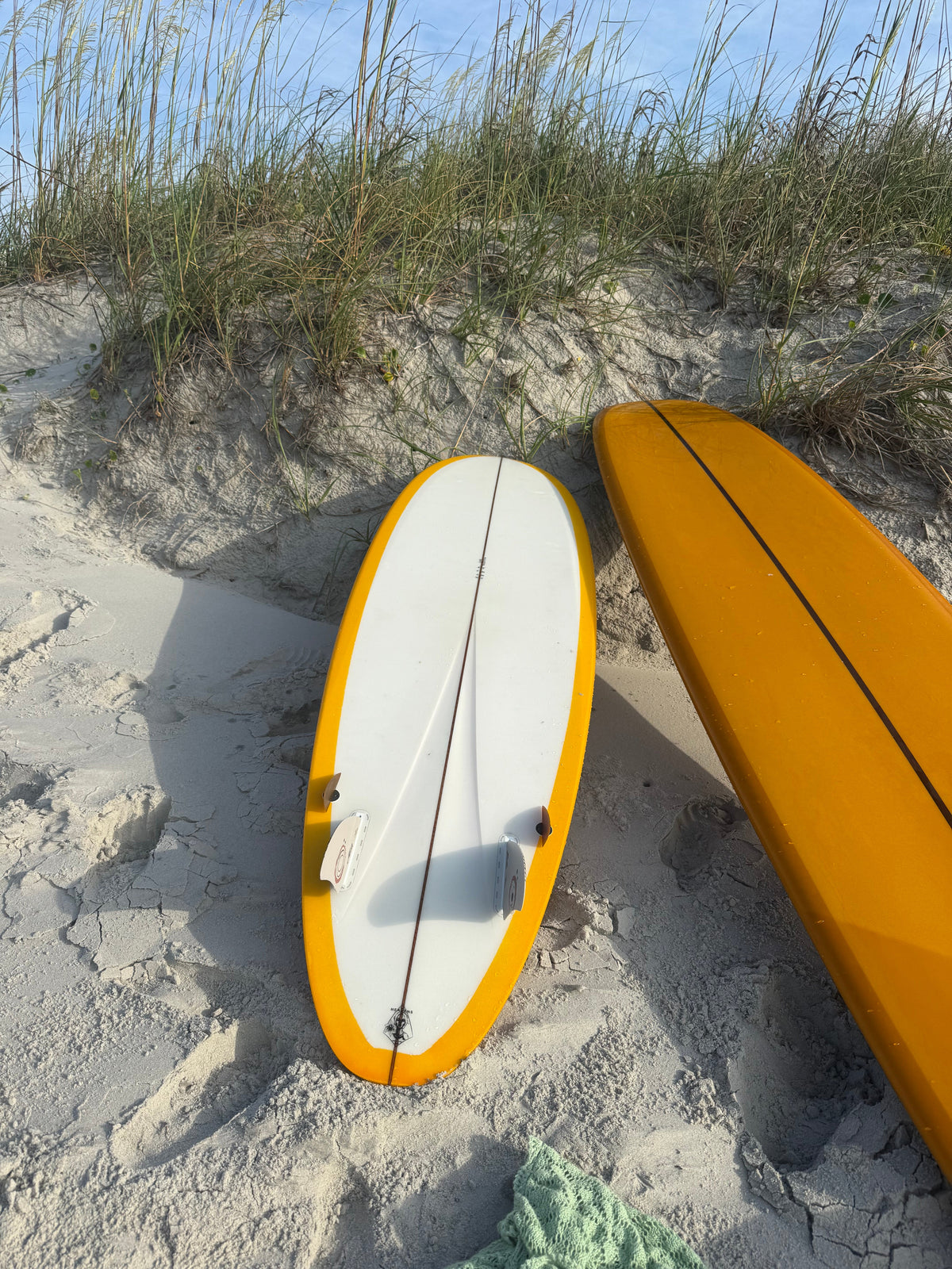 LOML 50:50 | Estefi Hotton - Surf Bored