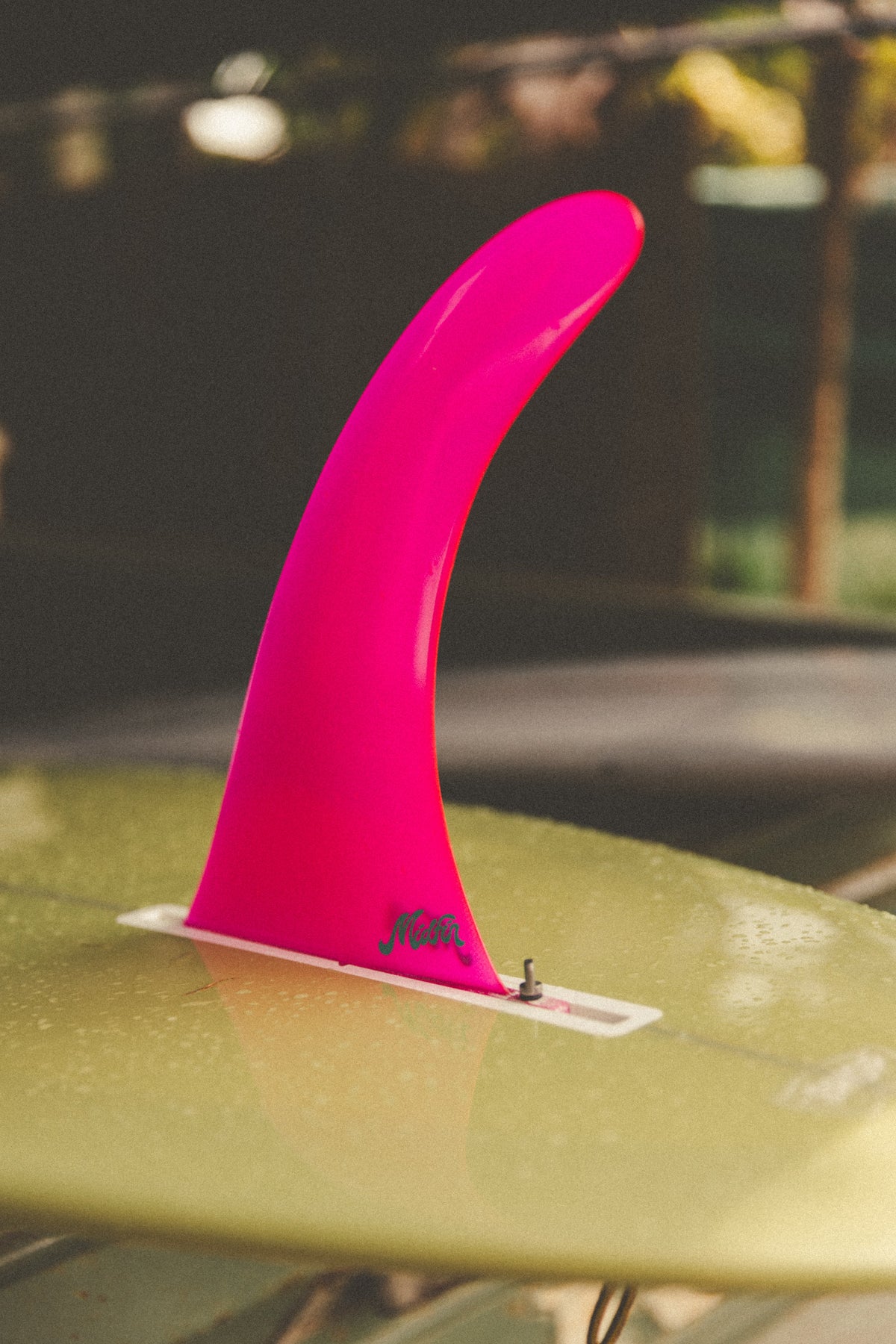Pink Panther - Classic - Surf Bored