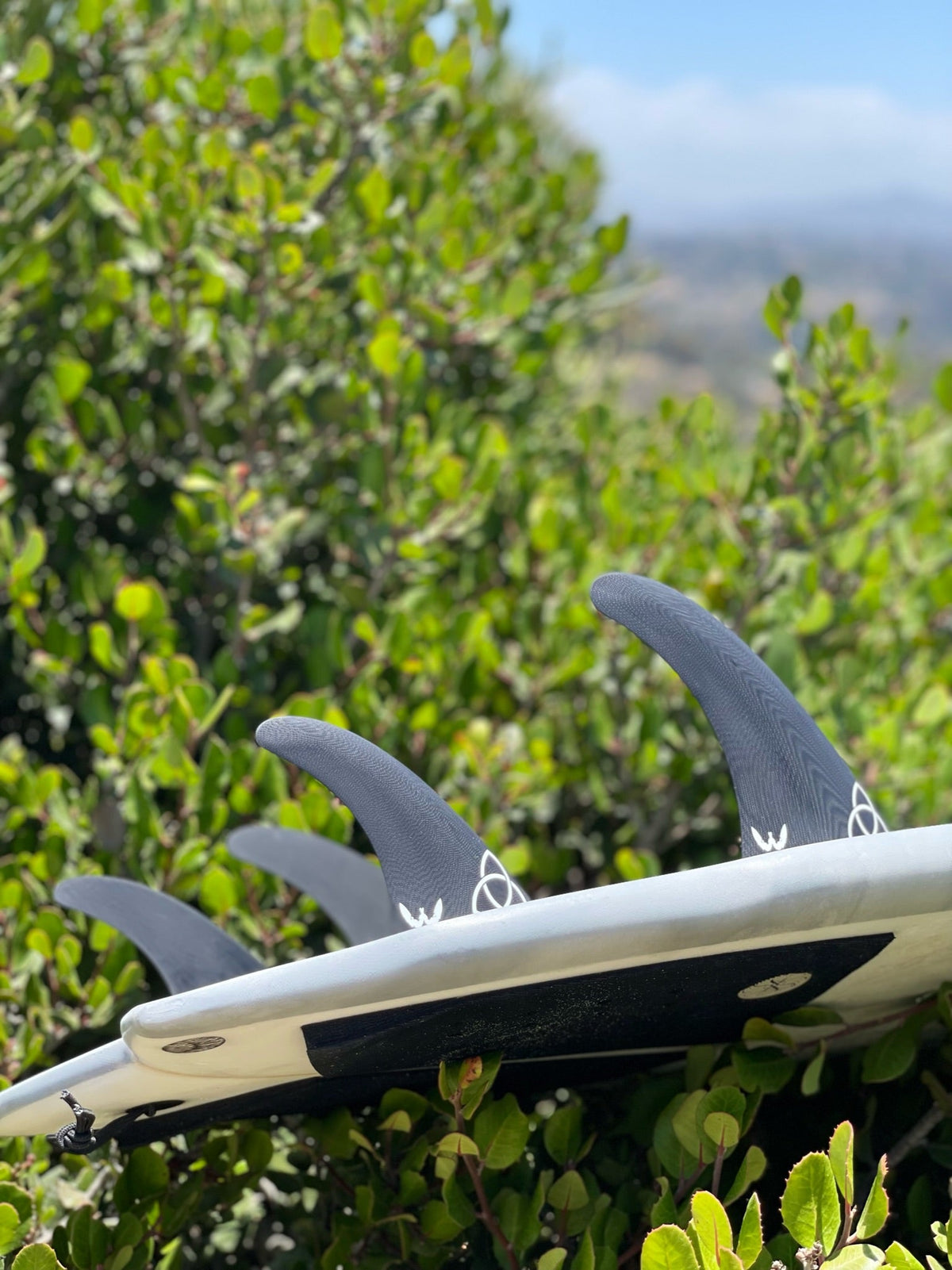 Greg Webber Extractor Quad - Apex - Surf Bored